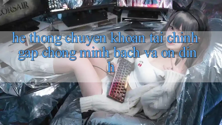 Hệ Thống Chuyển khoản Tài Chính: Gấp Chóng, Minh Bạch Và Ổn định Hệ Thống Chuyển khoản Tài Chính: Gấp Chóng, Minh Bạch Và Ổn định