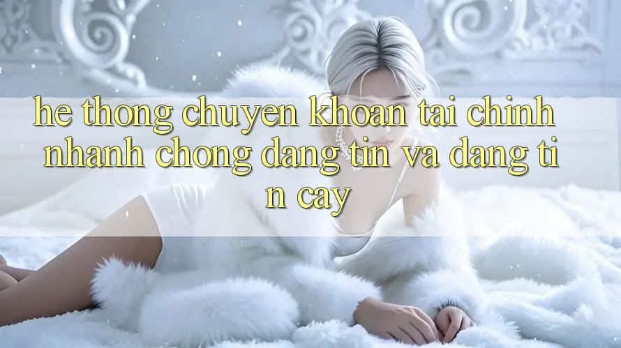 Hệ Thống Chuyển khoản Tài Chính: Nhanh Chóng, Đáng tin Và Đáng tin cậy