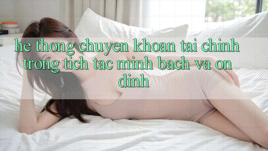 Hệ Thống Chuyển khoản Tài Chính: Trong tích tắc, Minh Bạch Và Ổn định Hệ Thống Chuyển khoản Tài Chính: Trong tích tắc, Minh Bạch Và Ổn định