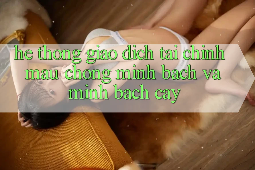 Hệ Thống Giao Dịch Tài Chính: Mau chóng, Minh Bạch Và Minh bạch cậy Hệ Thống Giao Dịch Tài Chính: Mau chóng, Minh Bạch Và Minh bạch cậy
