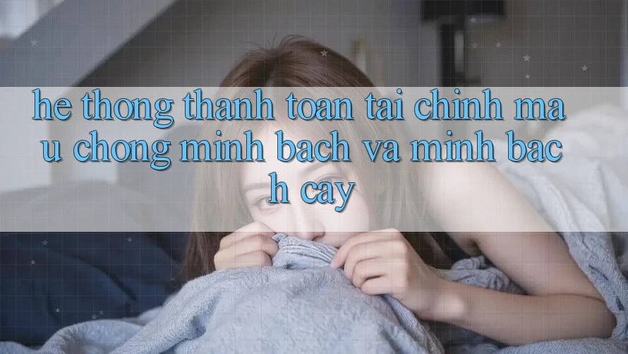 Hệ Thống Thanh toán Tài Chính: Mau Chóng, Minh Bạch Và Minh bạch cậy Hệ Thống Thanh toán Tài Chính: Mau Chóng, Minh Bạch Và Minh bạch cậy