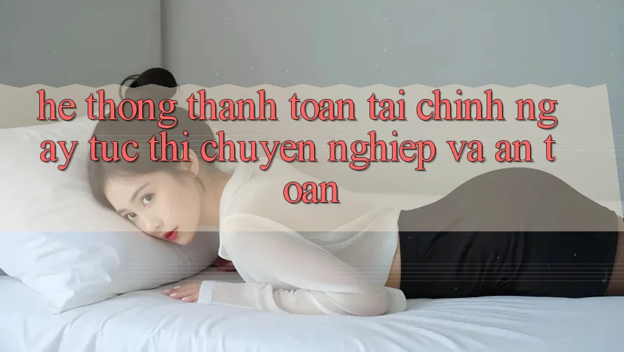 Hệ Thống Thanh toán Tài Chính: Ngay tức thì, Chuyên nghiệp Và An Toàn Hệ Thống Thanh toán Tài Chính: Ngay tức thì, Chuyên nghiệp Và An Toàn