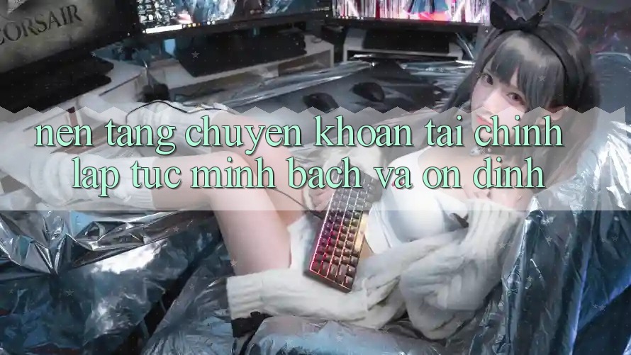 Nền tảng Chuyển khoản Tài Chính: Lập tức, Minh Bạch Và Ổn định Nền tảng Chuyển khoản Tài Chính: Lập tức, Minh Bạch Và Ổn định