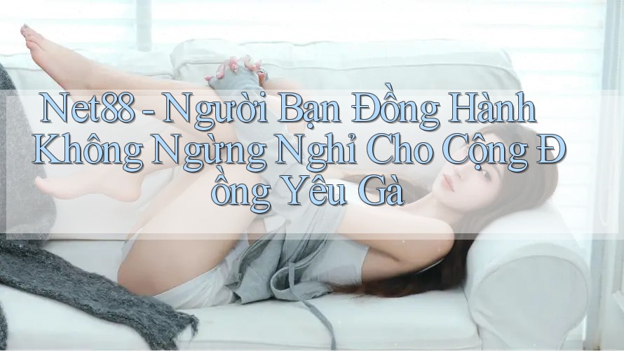 Net88 - Người Bạn Đồng Hành Không Ngừng Nghỉ Cho Cộng Đồng Yêu Gà Net88 - Người Bạn Đồng Hành Không Ngừng Nghỉ Cho Cộng Đồng Yêu Gà
