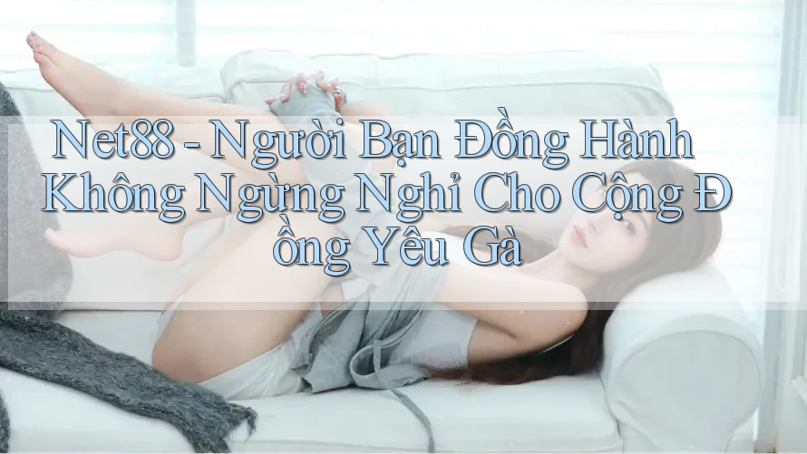 Net88 - Người Bạn Đồng Hành Không Ngừng Nghỉ Cho Cộng Đồng Yêu Gà Net88 - Người Bạn Đồng Hành Không Ngừng Nghỉ Cho Cộng Đồng Yêu Gà