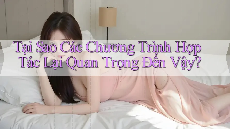 Tại Sao Các Chương Trình Hợp Tác Lại Quan Trọng Đến Vậy? Tại Sao Các Chương Trình Hợp Tác Lại Quan Trọng Đến Vậy?