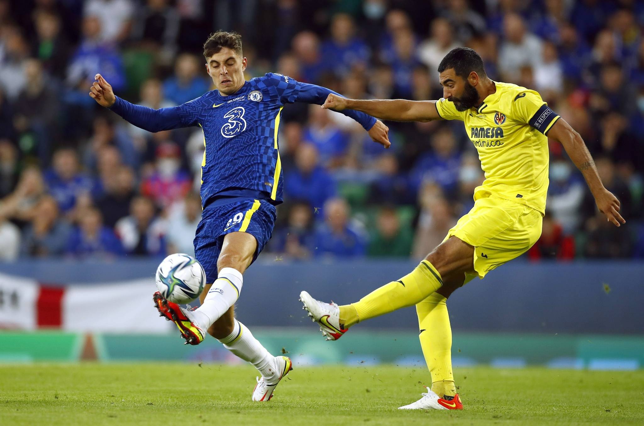 迷在推特上 迷在推特上